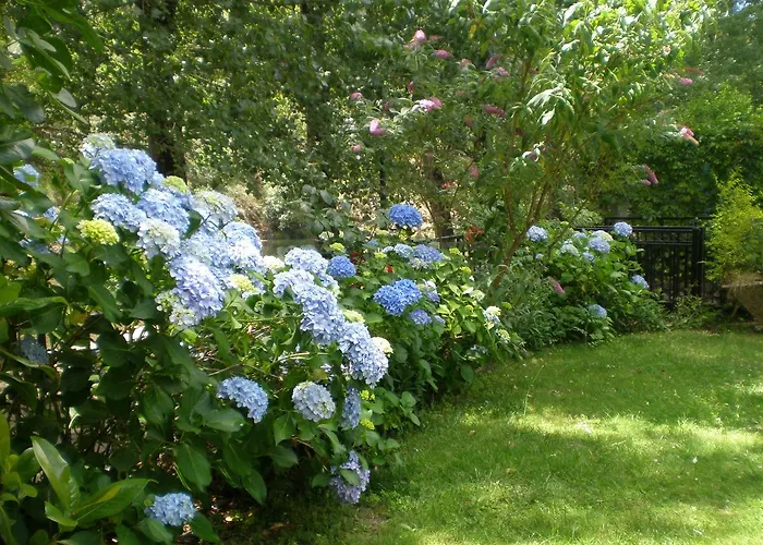 Rural Castuo H Cc 656 Otel