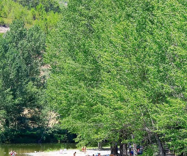 Rural Castuo H Cc 656 Pinofranqueado